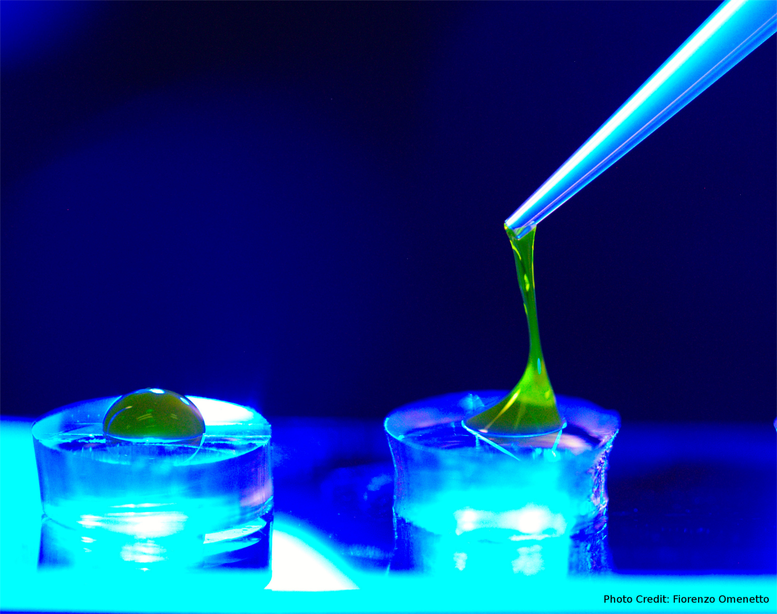 Cartoon of riboflavin photocrosslinking silk