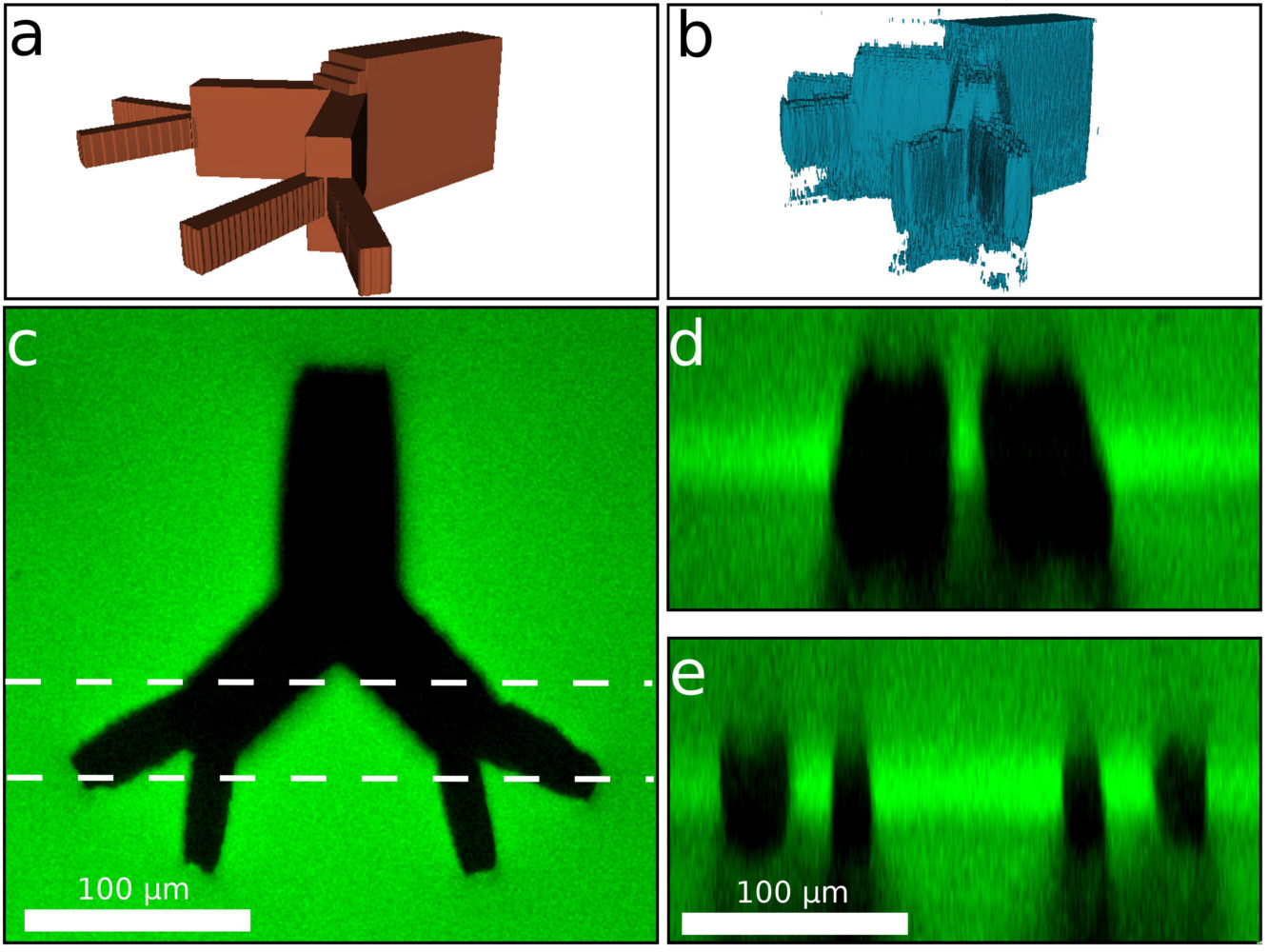 Vessel-like features micromachined into silk